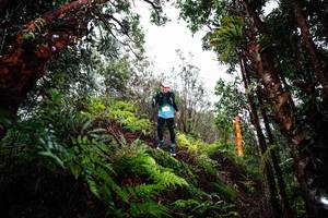 BIB: 
                            <button type="button" onclick="openModal(26205261)" class="btn btn-primary btn-sm float-right btn-popup" data-toggle="modal" data-target=".modal-high-quality">
                        <i class="fas fa-shopping-cart"></i> Add to Cart
                    </button>
                                            <button type="button" onclick="isThisMe(26205261, true)" class="btn btn-success btn-sm float-right btn-popup btn-isme hidden" data-toggle="tooltip" data-placement="bottom" title="นี่คือรูปของคุณใช่ไหม คลิกที่นี่เพื่อเอาเข้าอัลบั้ม">
                        <i class="fas fa-plus"></i> Add to album
                    </button>
                    <button type="button" onclick="isThisMe(26205261, false)" class="btn btn-warning btn-sm float-right btn-popup btn-isnotme hidden">
                        <i class="fas fa-ban"></i> Remove from album
                    </button>